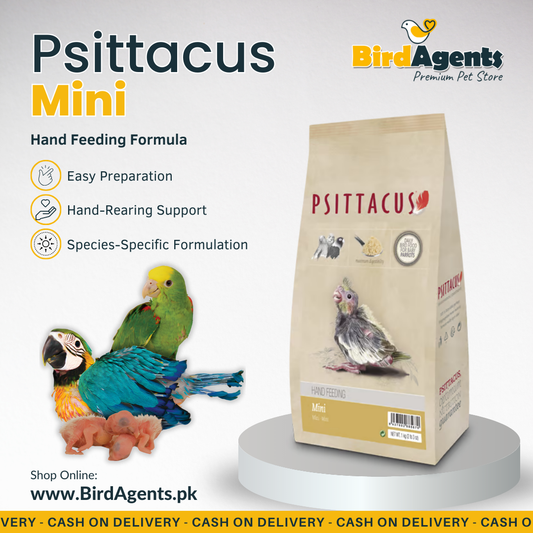 Psittacus Mini - Birds Hand Feeding Formula