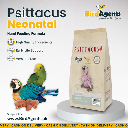 Psittacus Neonatal - Hand Feeding Formula