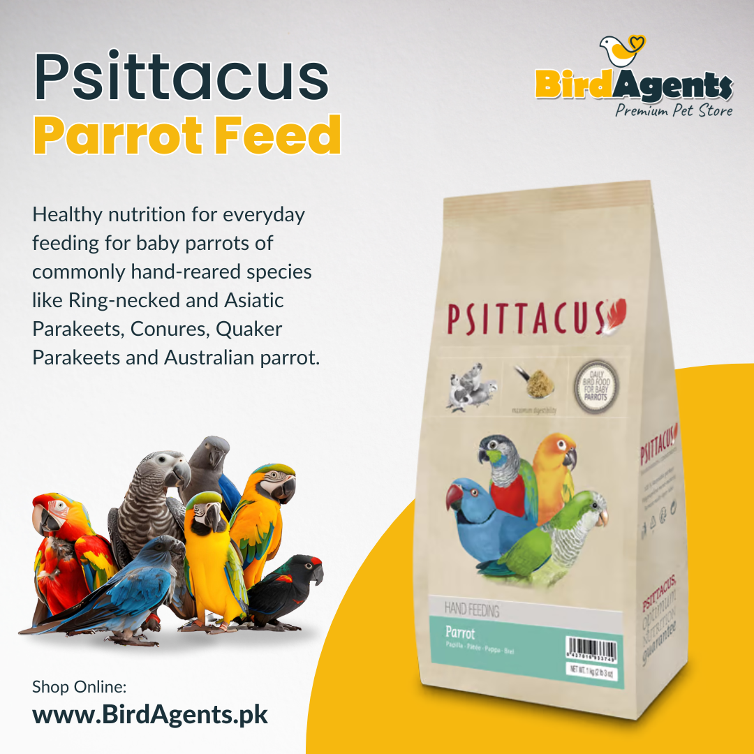 Psittacus Parrot - Hand Feeding Formula