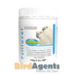 Psittavet Antibiotic - Treating Respiratory & Bacterial Diseases