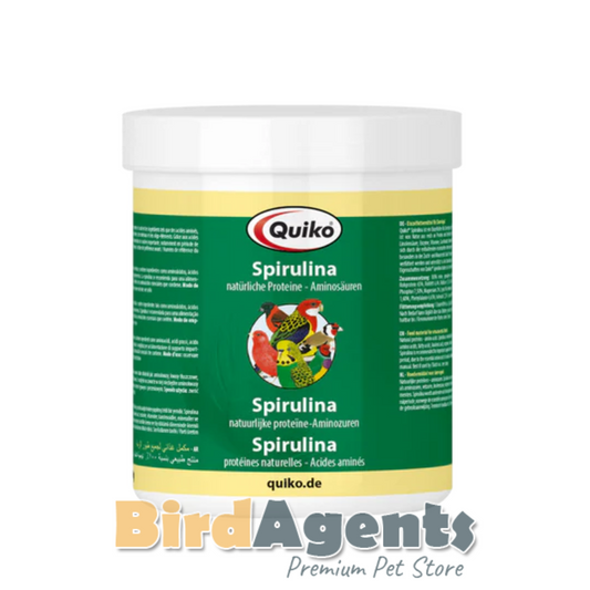 Quiko Spirulina – Protein-Rich Single Feed for Ornamental Birds