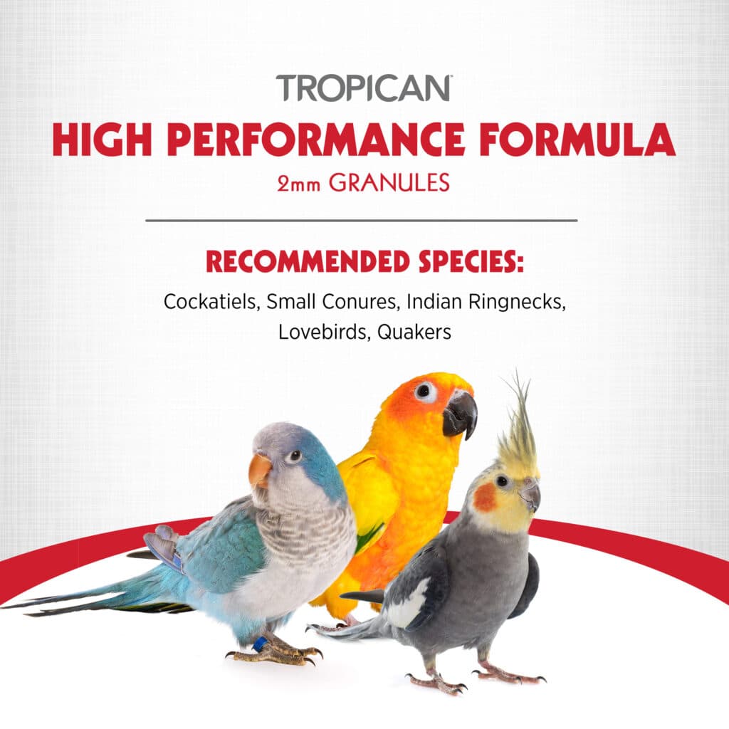 Tropican High Performance Formula For Parrots 2mm