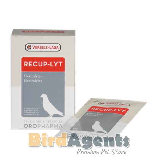 Recup Lyt Electrolyte