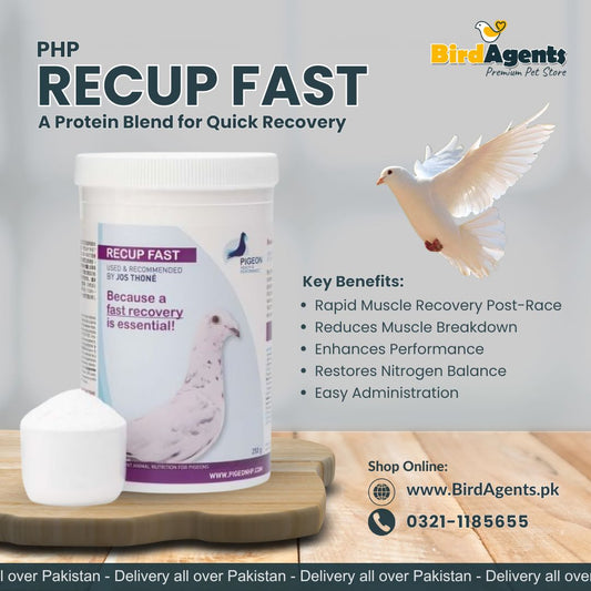 PHP Recup Fast - A Protein Blend for Quick Recovery