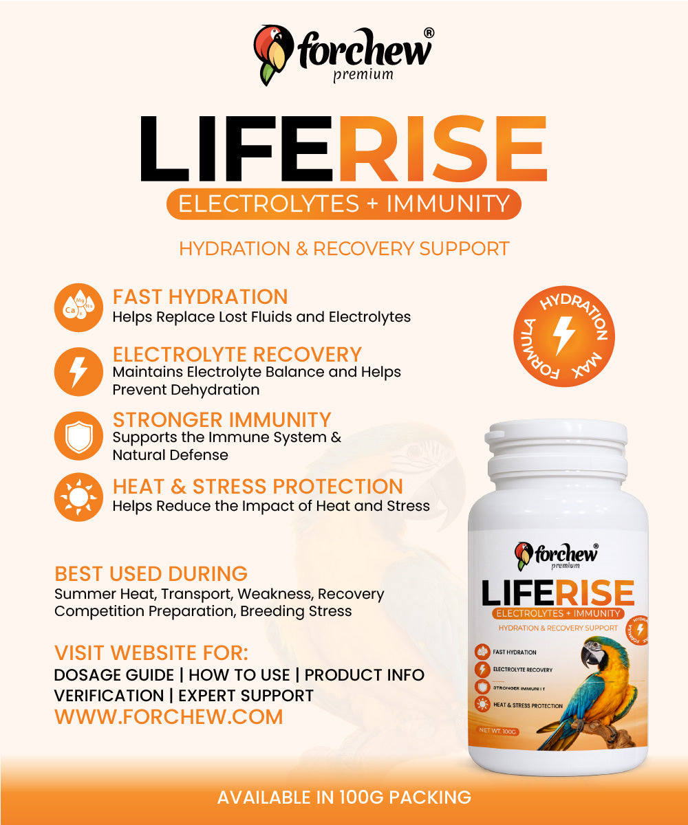 Life Rise Electrolytes & Immunity Supplement for Parrots