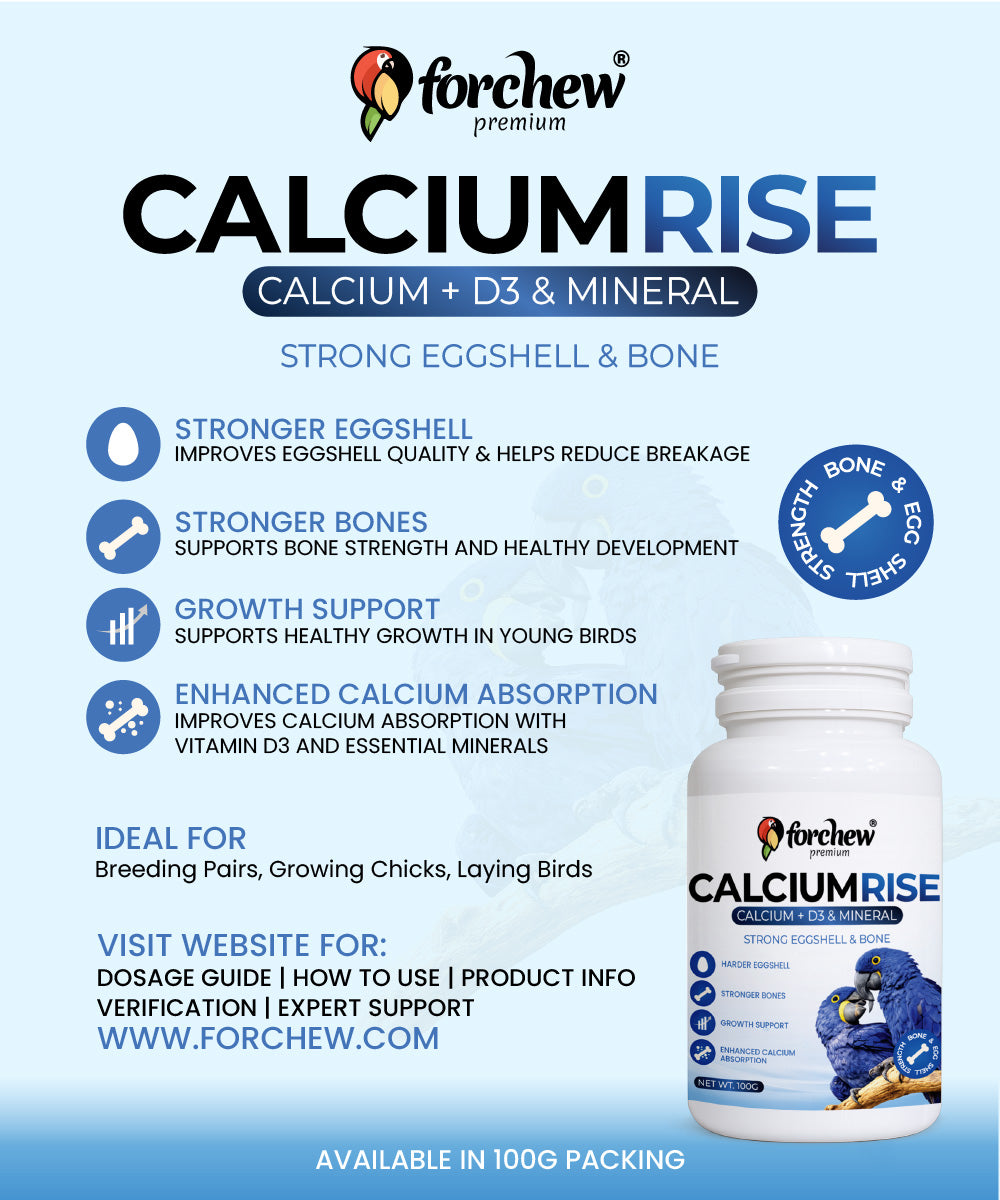 Calcium Rise Calcium D3 Supplement for Parrots