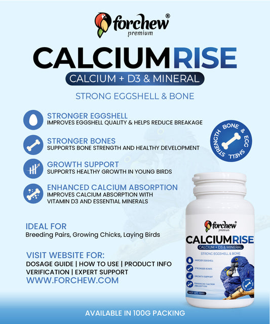 Calcium Rise Calcium D3 Supplement for Parrots