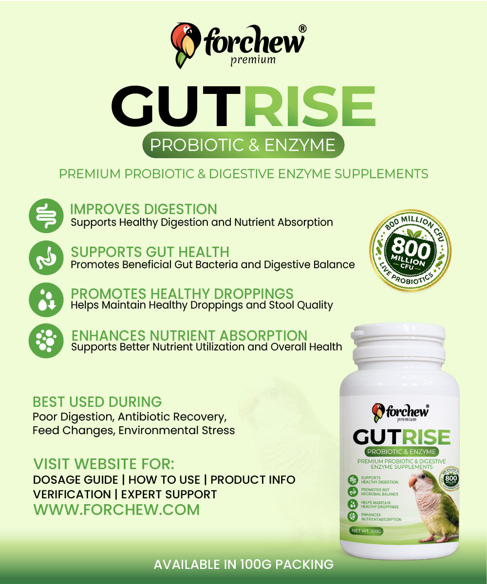 Gut Rise Probiotic & Enzyme Supplement for Parrots
