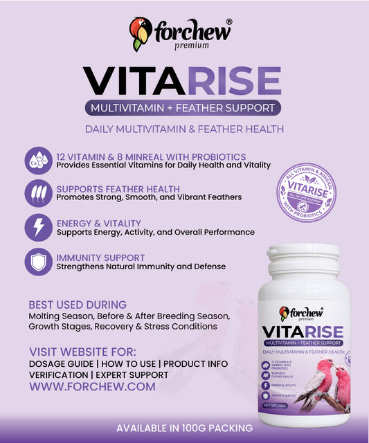 Vita Rise Multivitamin & Feather Support Supplement