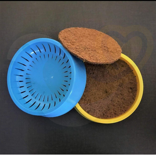 Pigeon Nest Bowl with Mat