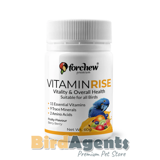 Vitamin Rise - Multivitamin Supplement