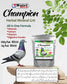 Champion Herbal Mineral Grit For Pigeons