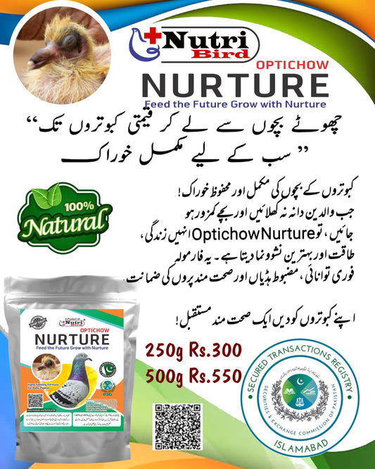 Optichow Nurture Pigeon – Complete Hand Feeding Formula