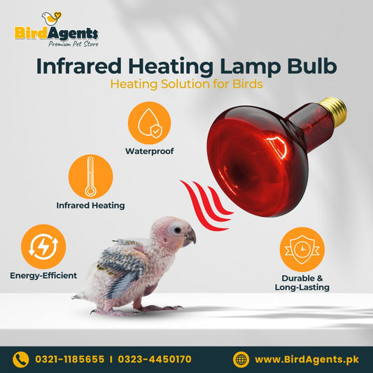 Infrared Heating Lamp Bulb - Heating Solution for Birds