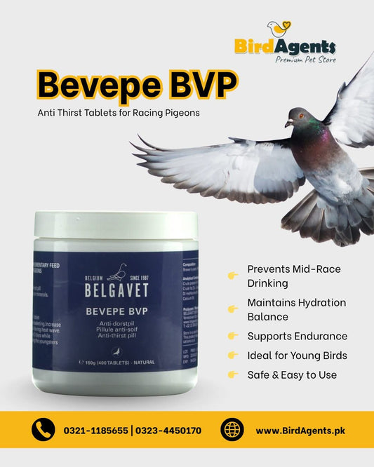 Bevepe BVP – Anti Thirst Tablets for Racing Pigeons