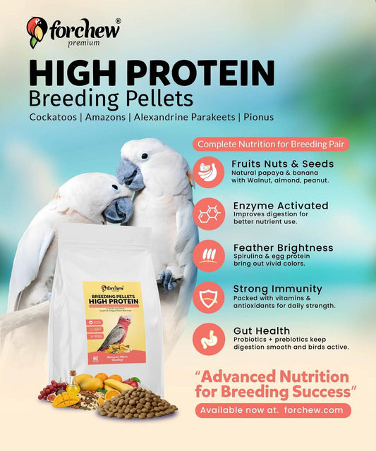 Forchew High Protein Breeding Pellets for Parrots