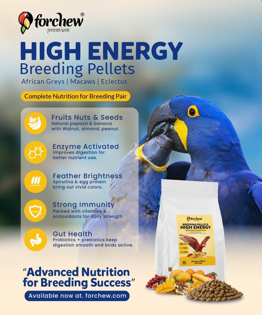 Forchew High Energy Breeding Pellets for Parrots