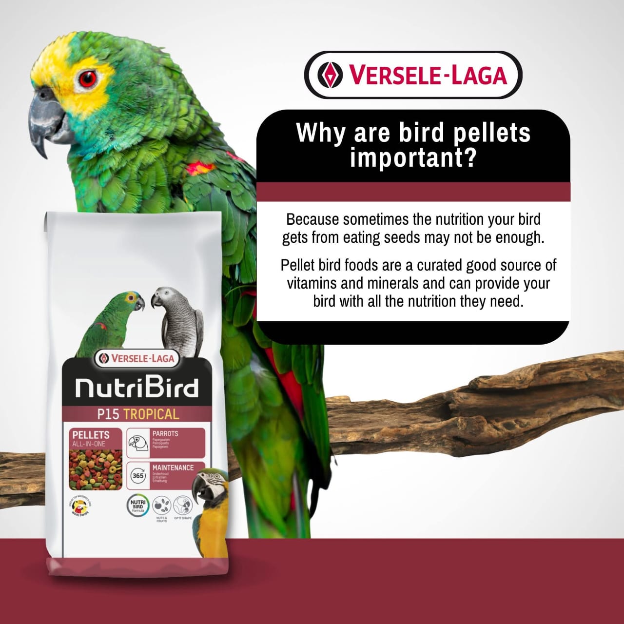Nutribird P15 Tropical – Extruded Pellets for Parrots (Multicolour)