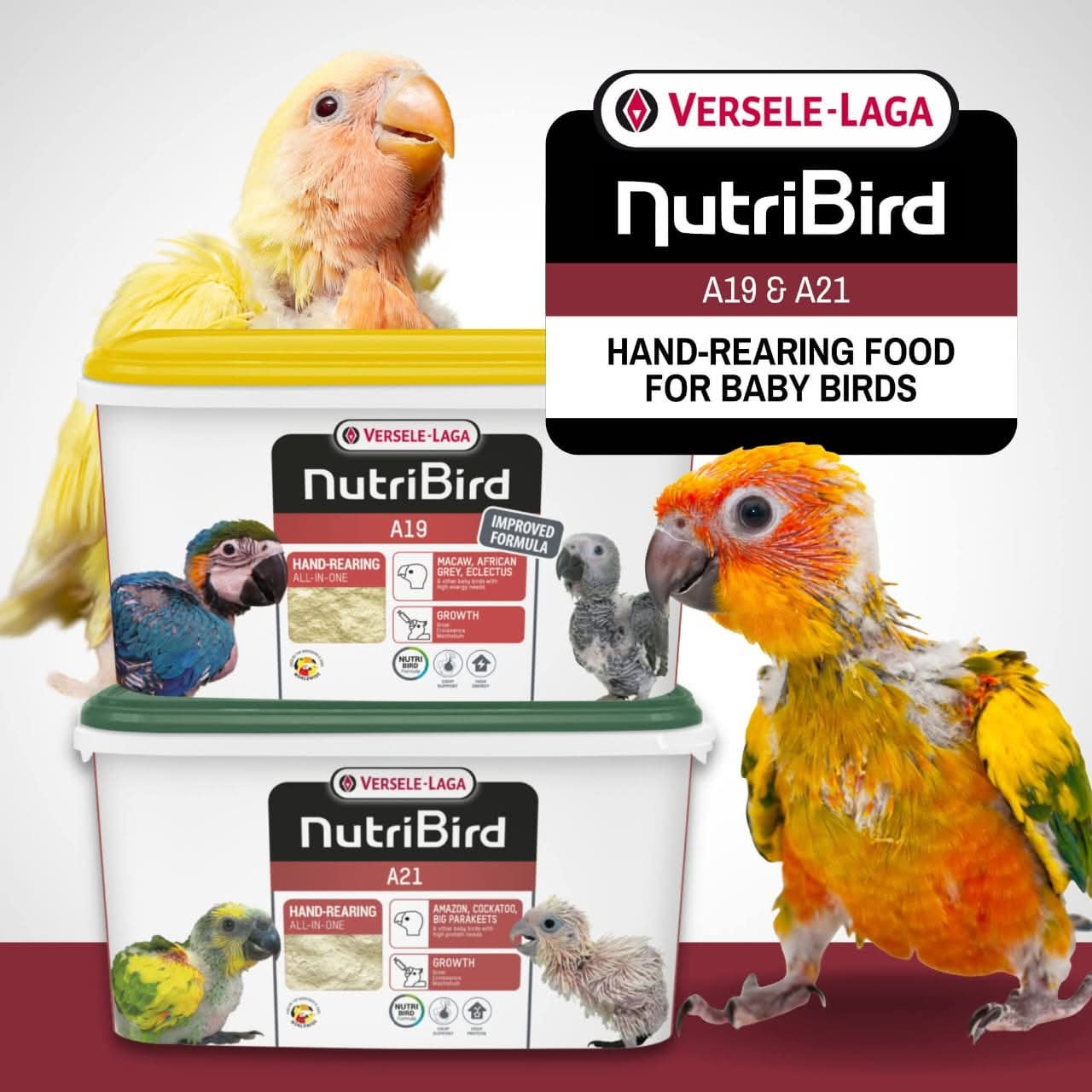 Nutribird A19 - Handfeeding Forluma