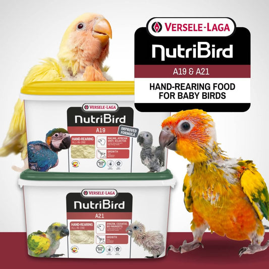 Nutribird A19 - Handfeeding Forluma