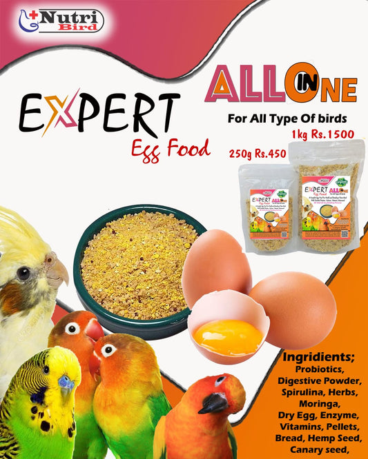 Expert All-in-One Egg Food – Complete Nutrition Food for Birds
