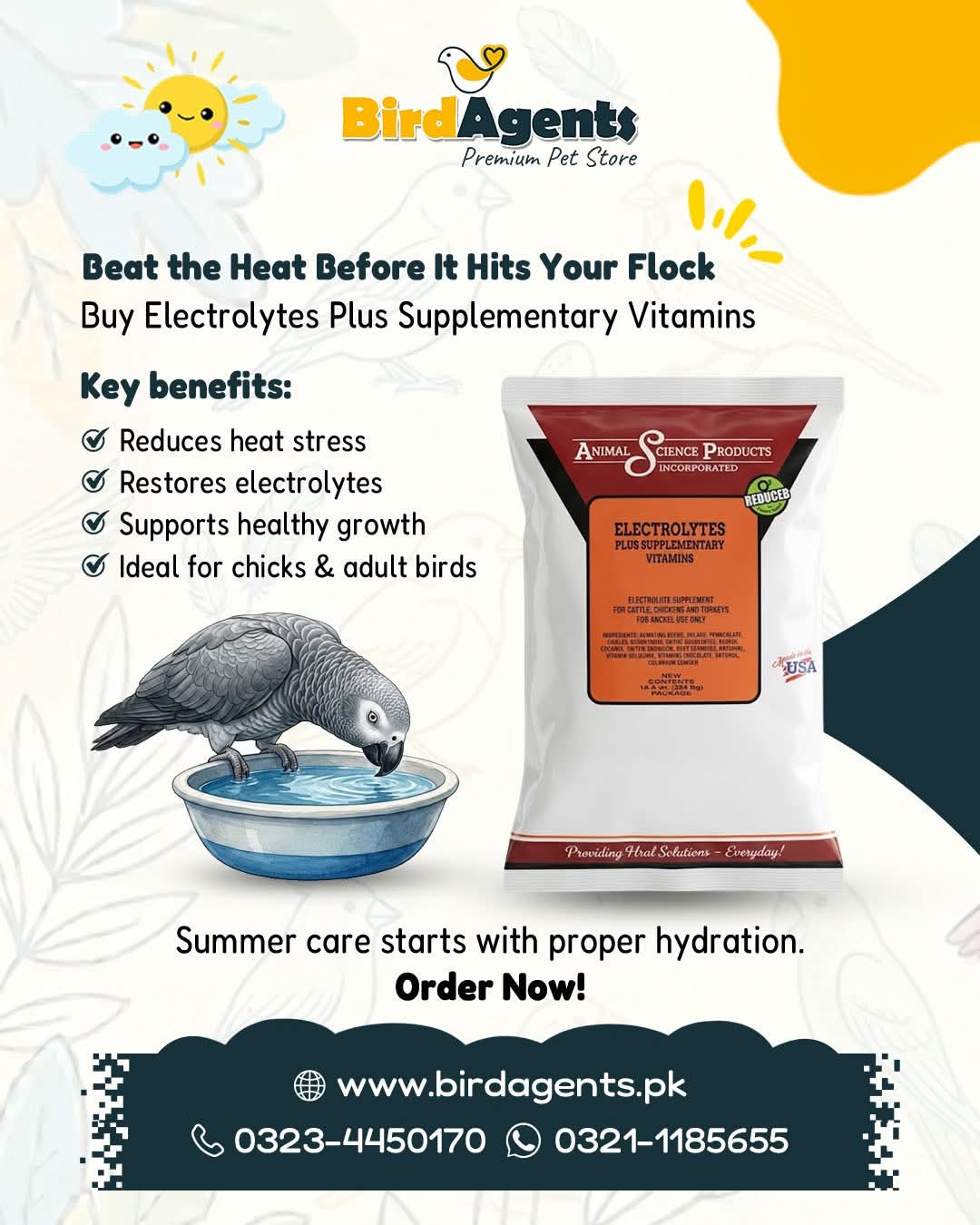 Electrolytes Plus Supplementary Vitamin (USA)