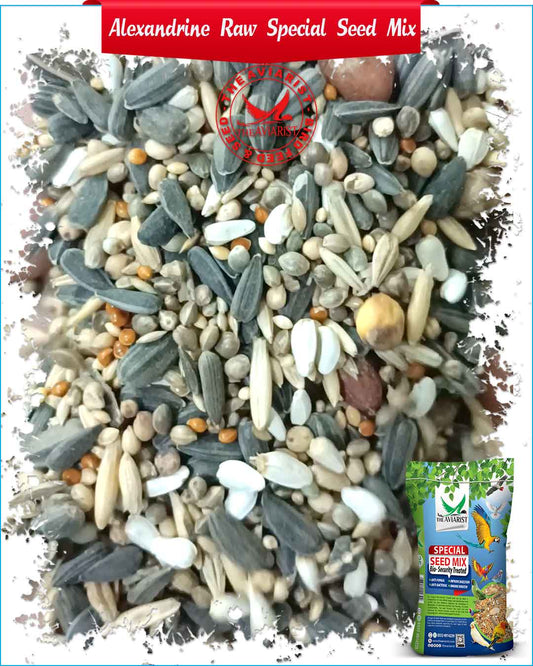 Ring Neck Special Seed Mix - Bio-Security Treated Seeds