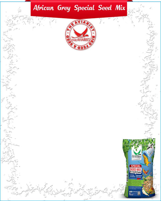 Big Bird Special Seed Mix - Bio-Security Treated Seeds