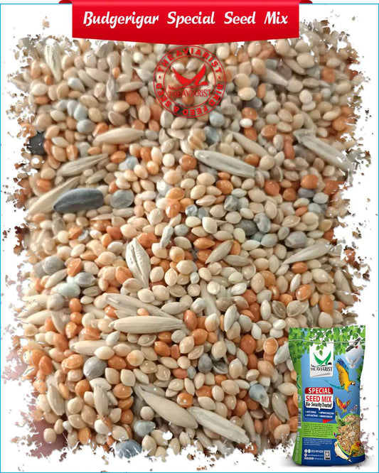 Budgies Special Seed Mix - Bio-Security Treated Seeds