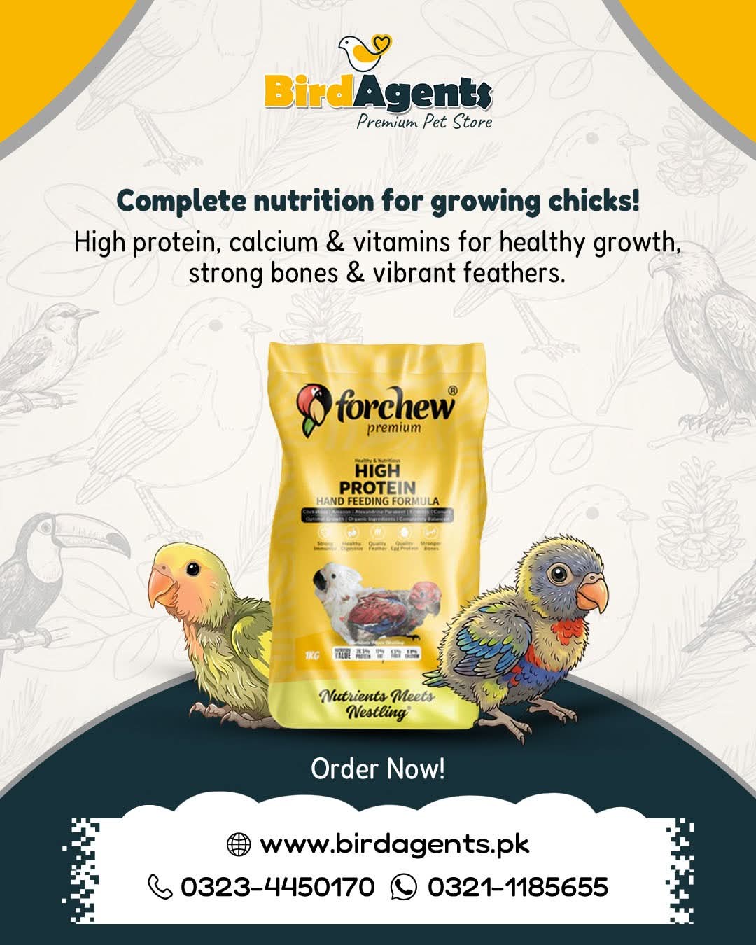 Forchew High Protein – Hand Feeding Formula for Birds