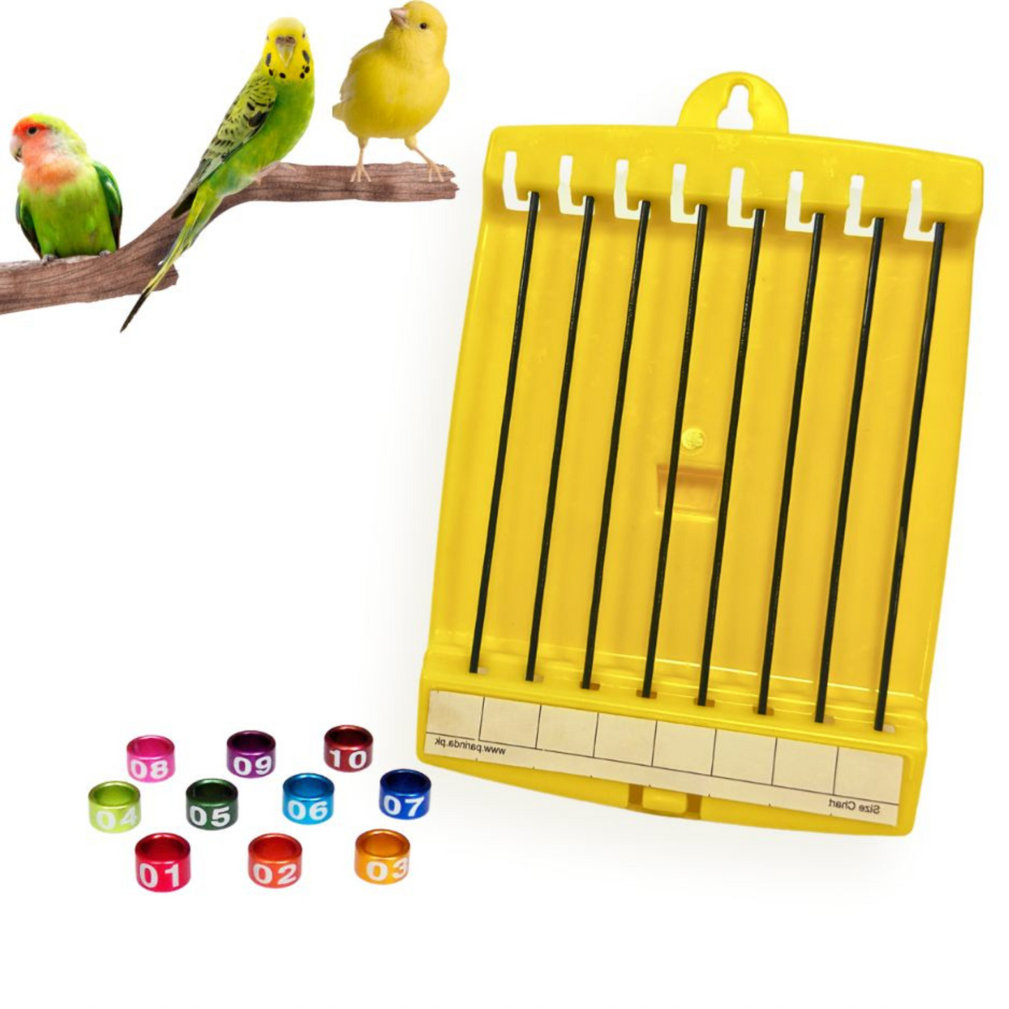 Bird Leg Ring Holder - Organize and Store Bird Rings