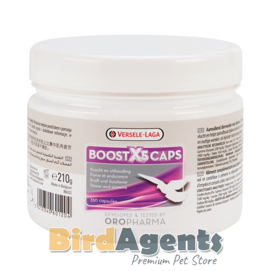 Boost X5 Caps - Enhances Stamina & Muscle Breakdown