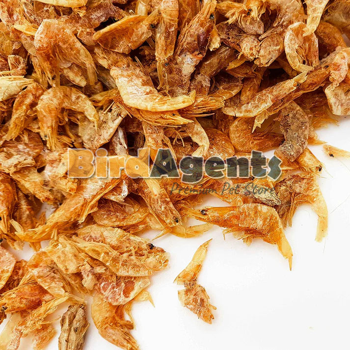 Dried Prawn - Nutritious and Protein Rich Food