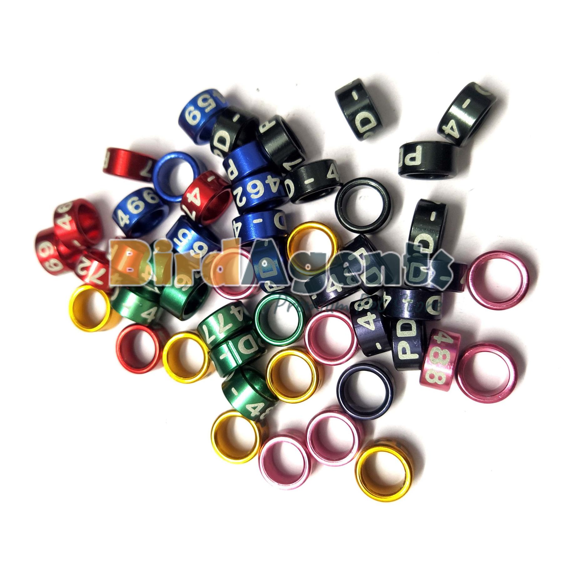 Ring For Ring Neck - For identification & Tracking – BirdAgents.pk