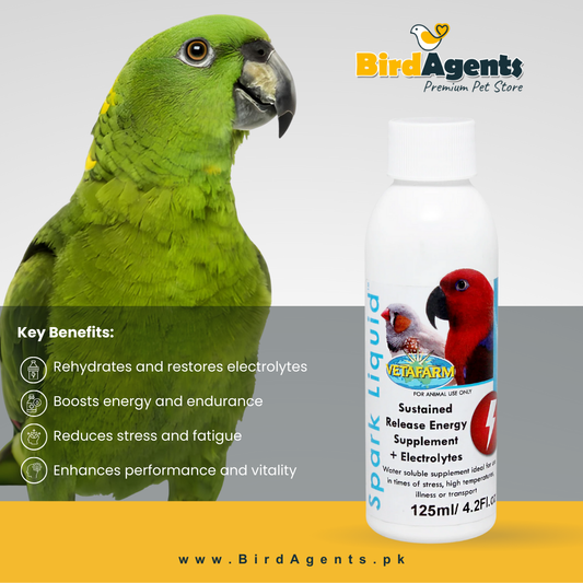 Spark Liquid - Electrolyte & Energy Supplement for Birds