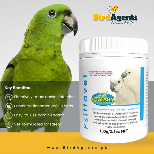 Psittavet Antibiotic - Treatment for Respiratory infections
