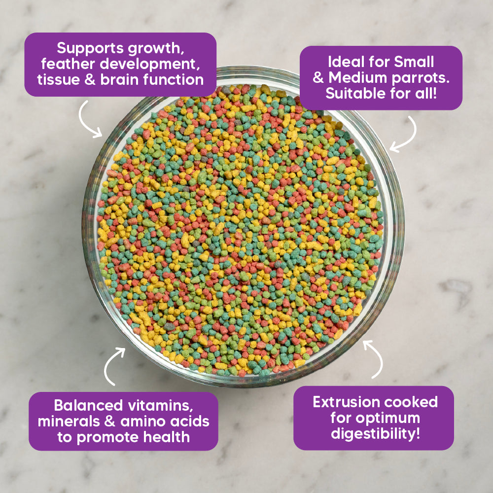 Nutriblend Mini Pellets - Complete Nutritional Diet for Parakeets