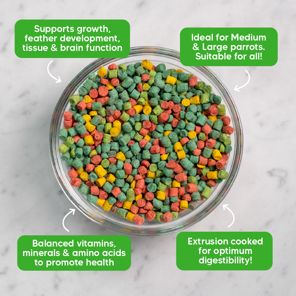 Nutriblend Small Pellets – Complete Nutritional Diet for Parrots