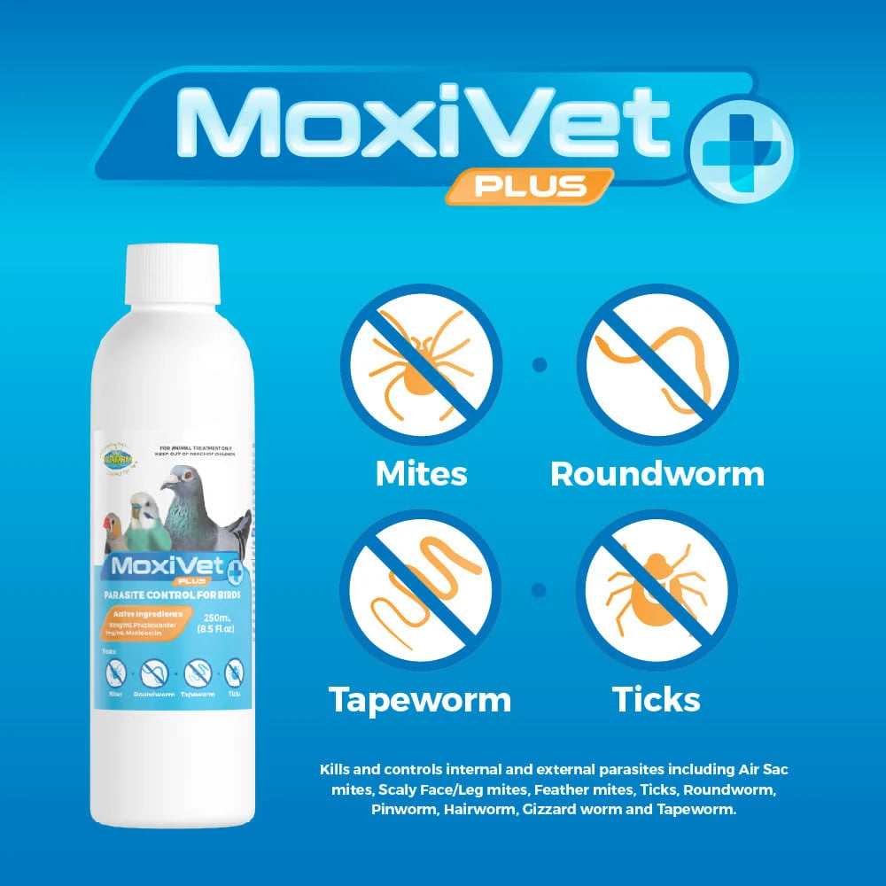 Moxivet Plus – Broad Spectrum Parasite Control for Birds
