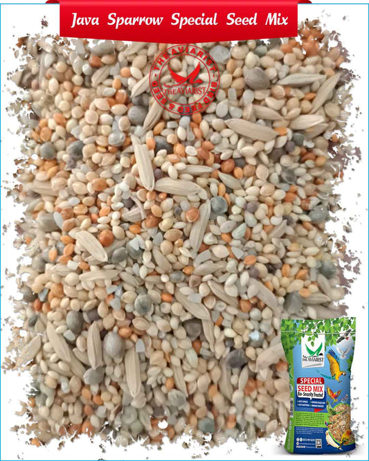 Java Special Seed Mix - Bio-Security Treated Seeds