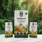 Opti Grow Premier Hand Feeding Formula for Baby Birds