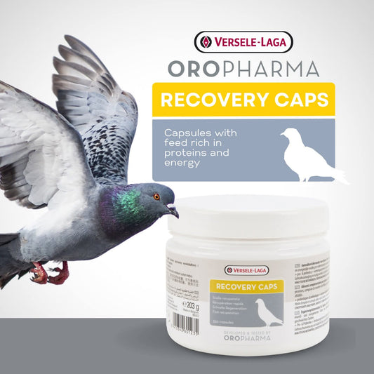 Recovery Caps – Protein & Energy Supplement for Pigeons