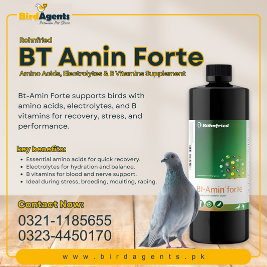 BT Amin Forte - Amino Acids, Electrolytes & B Vitamins Supplement