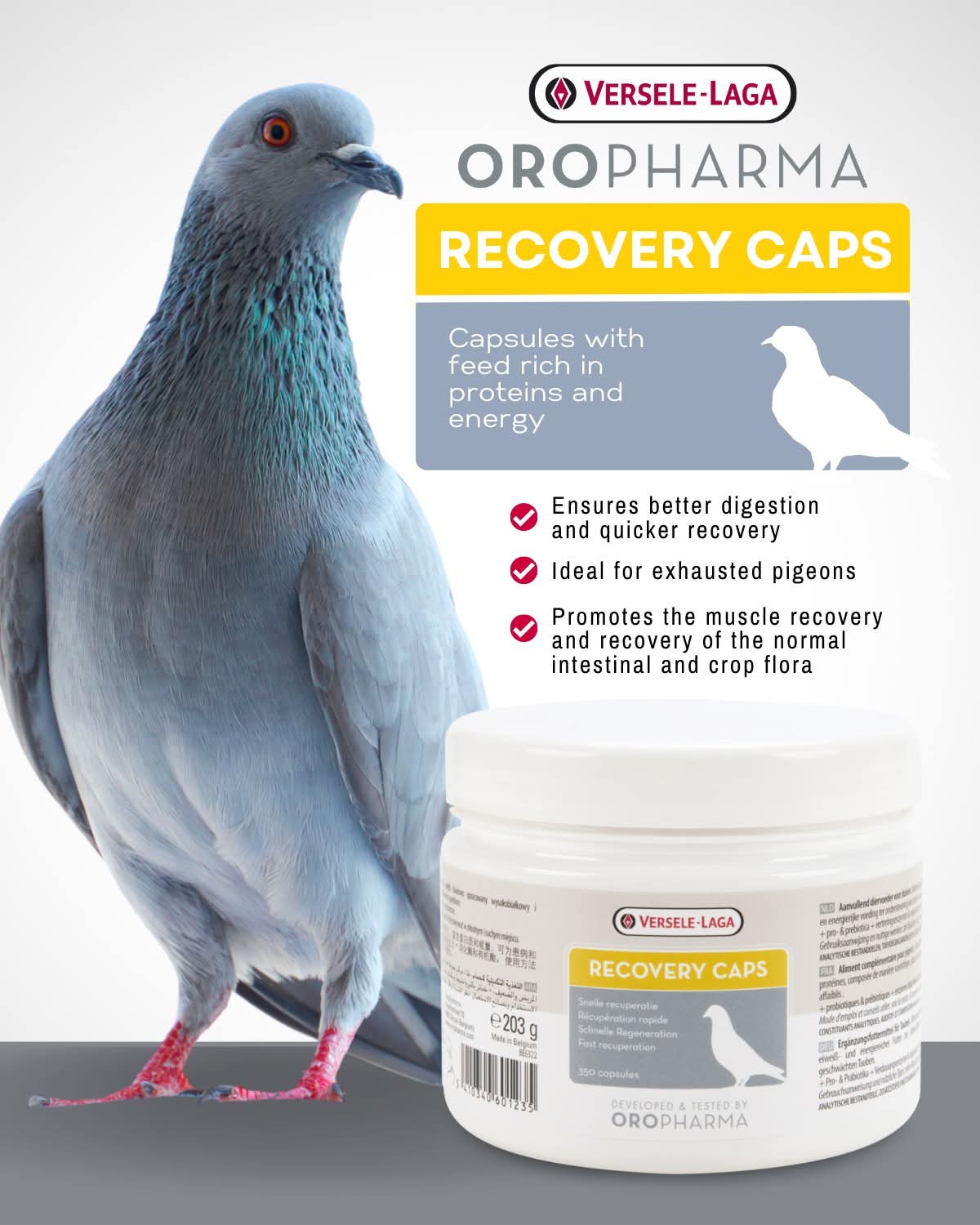 Recovery Caps – Protein & Energy Supplement for Pigeons