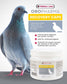 Recovery Caps – Protein & Energy Supplement for Pigeons