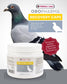 Recovery Caps – Protein & Energy Supplement for Pigeons