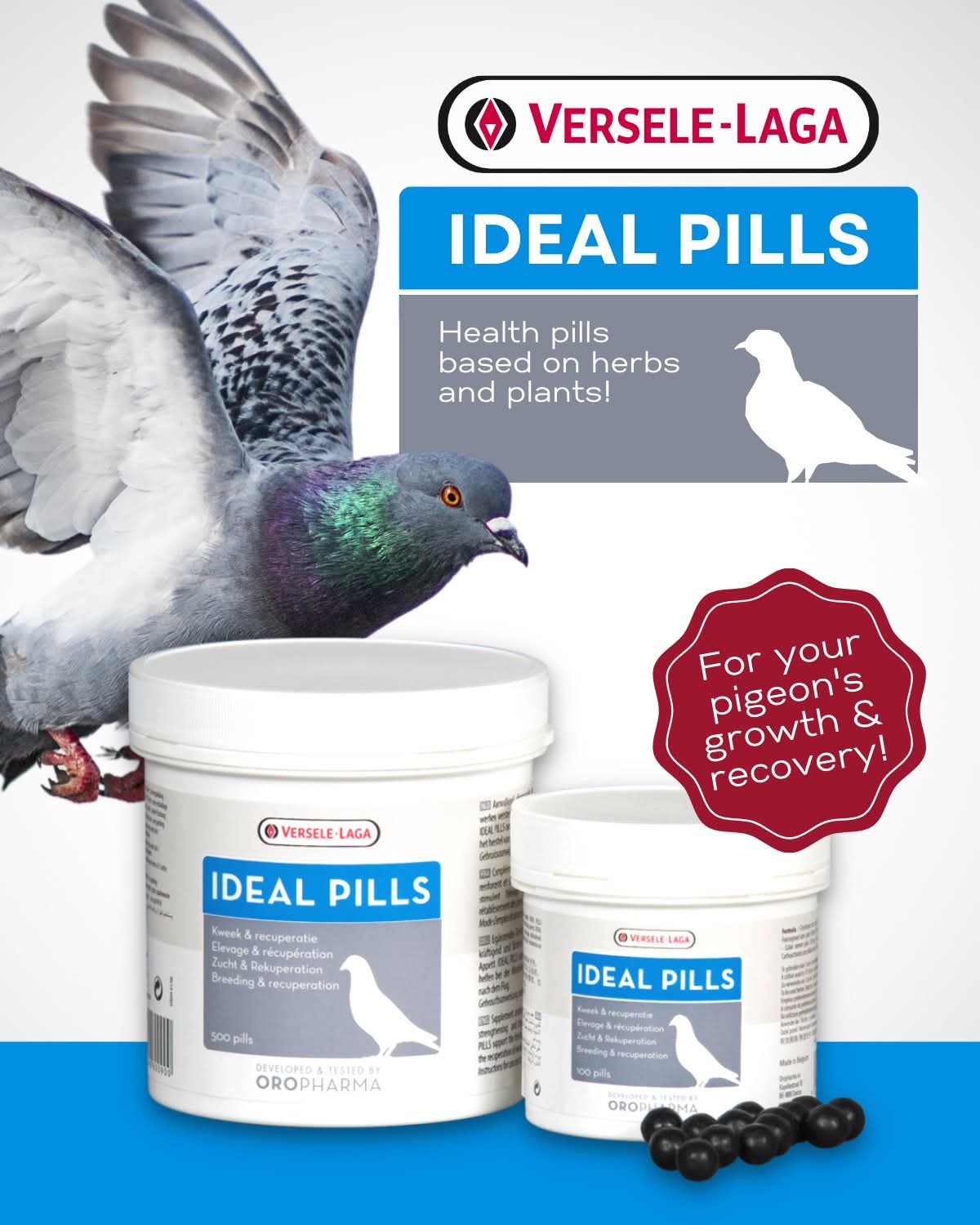 Ideal Pills – Growth & Health Supplement for Pigeons