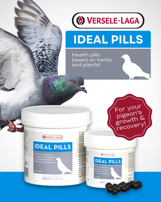 Ideal Pills – Growth & Health Supplement for Pigeons