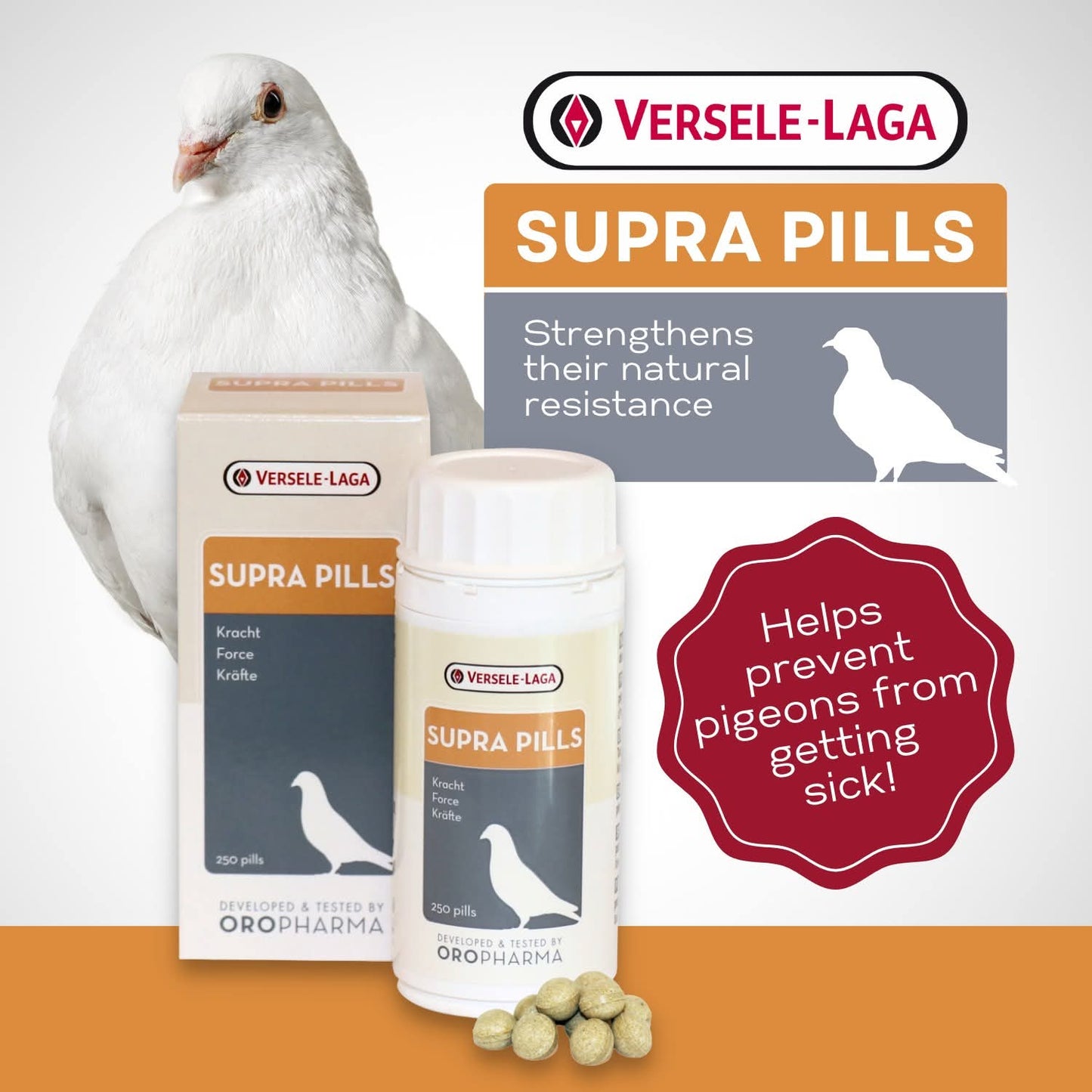 Supra Pills – Natural Performance Booster for Racing Pigeons