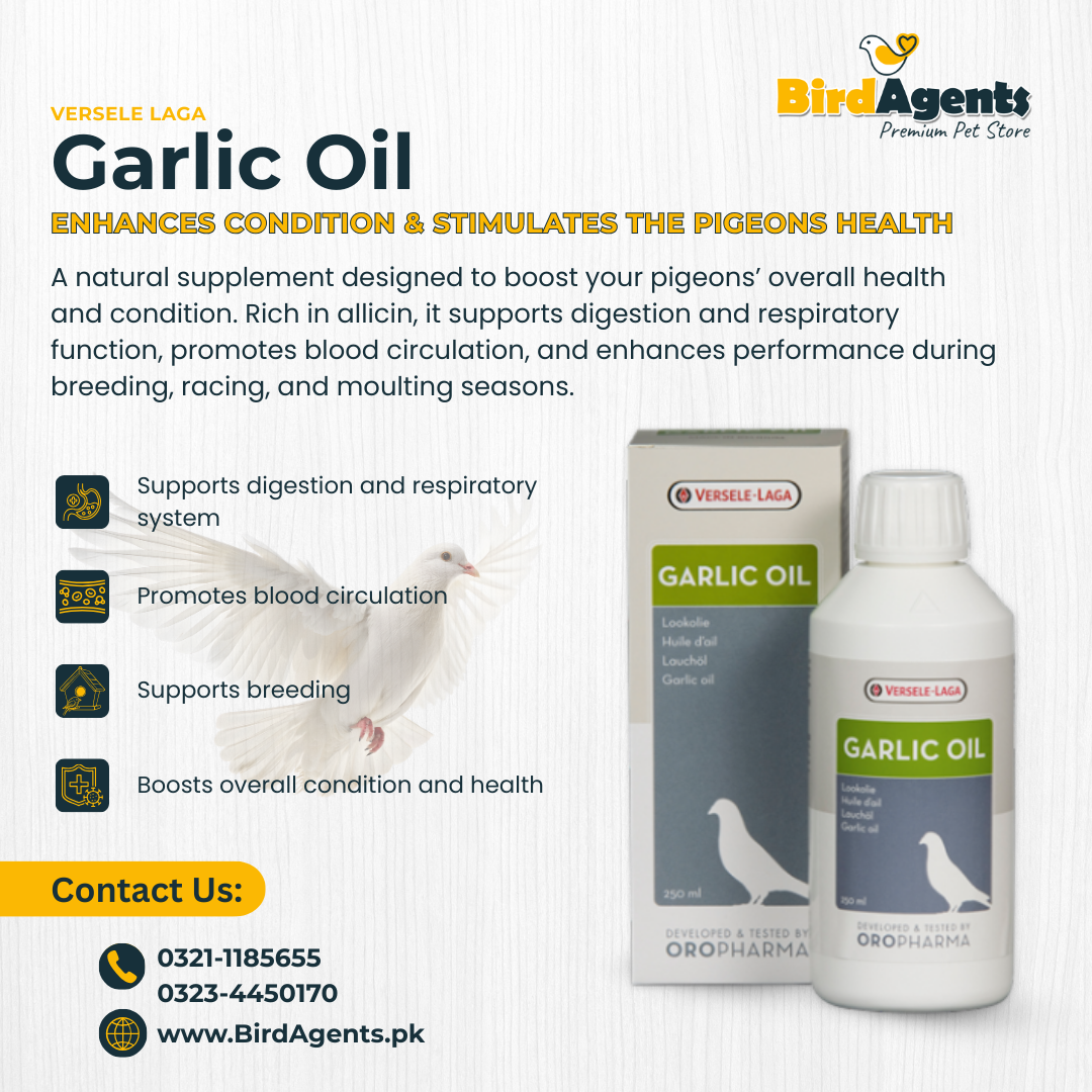 Garlic Oil - Enhances Condition & Stimulates the pigeons Health